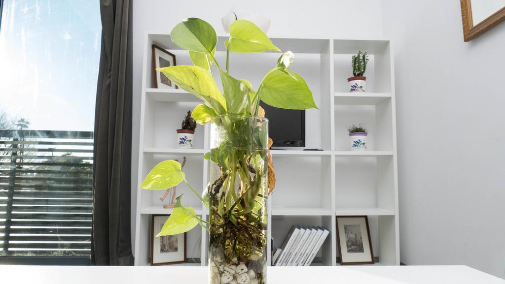 Apartamento La Calahorra コルドバ エクステリア 写真