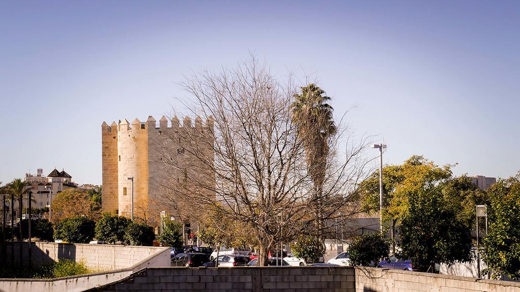 Apartamento La Calahorra コルドバ エクステリア 写真